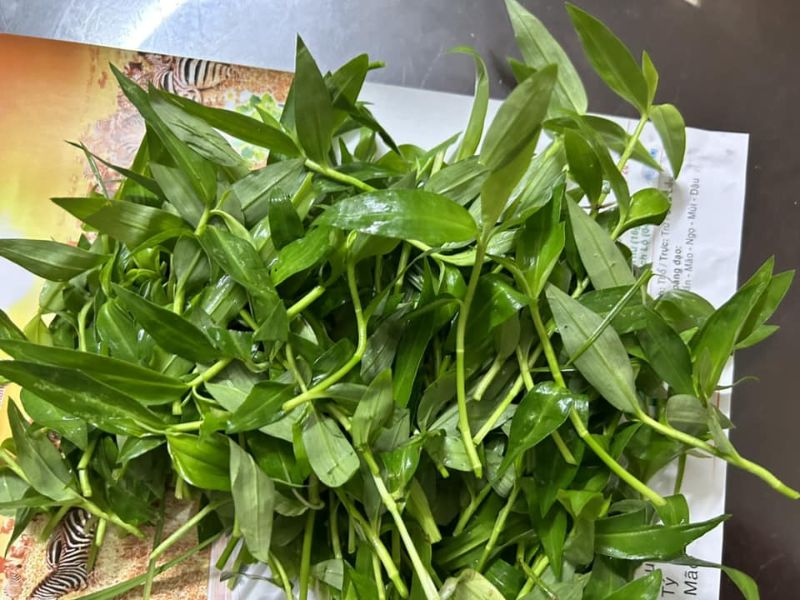 goc-bi-mat-cac-loai-rau-mien-tay-an-lau