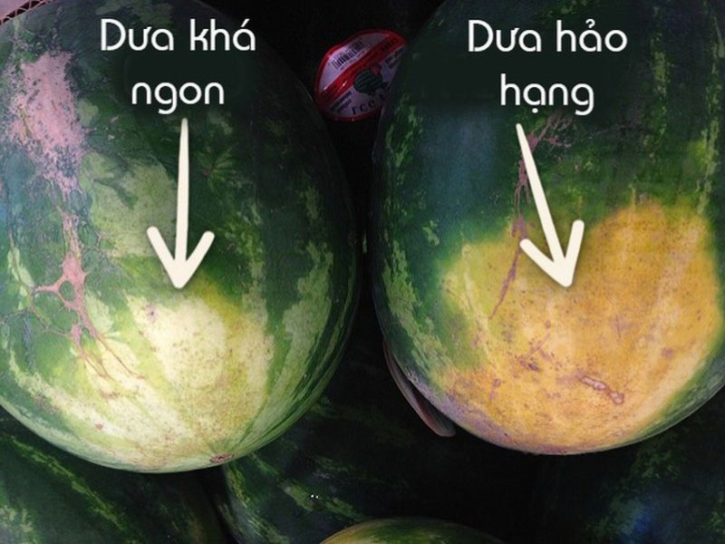 goc-bi-mat-cach-chon-dua-hau-ngon-ngot.jpg