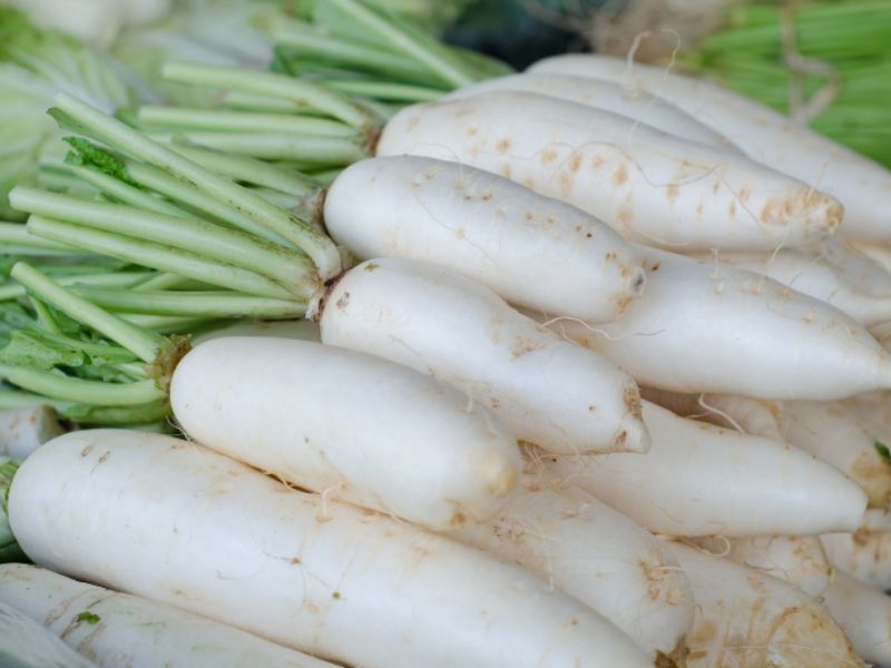 goc-giai-dap-qua-gi-dang-nhat-the-gioi