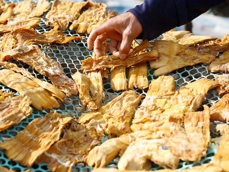 goc-su-that-bao-nhieu-kg-mang-tuoi-duoc-1kg-mang-kho
