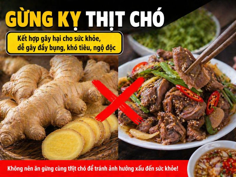 goc-thac-mac-gung-ky-gi