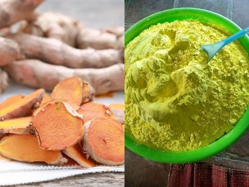 goc-tim-hieu-1kg-nghe-tuoi-lam-duoc-bao-nhieu-tinh-bot-nghe