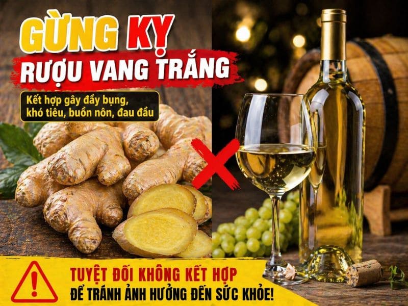 goc-tim-hieu-gung-ky-gi