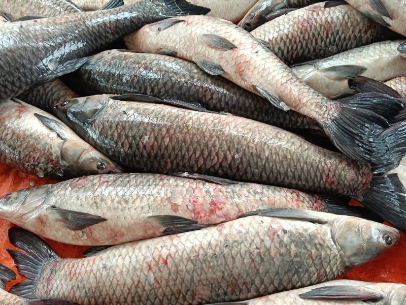 goc-tra-loi-toi-ky-gi