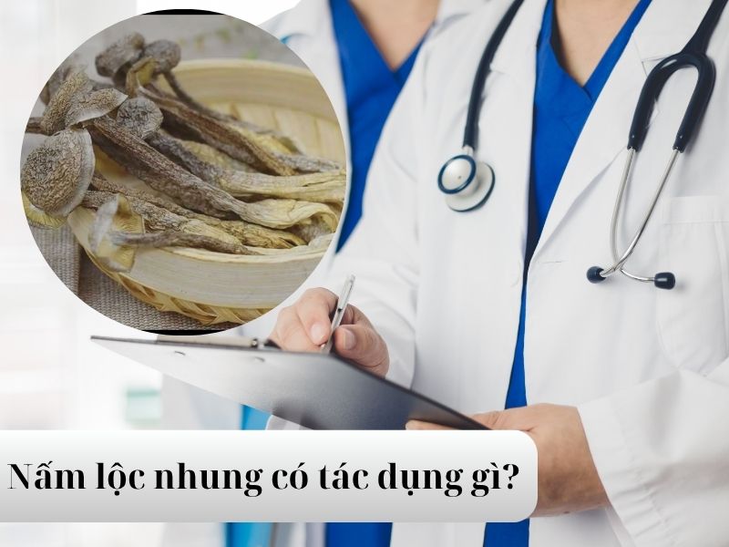 nam-loc-nhung-co-tac-dung-gi
