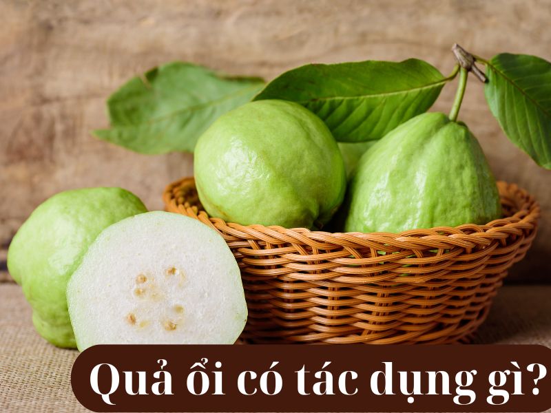 qua-oi-co-tac-dung-gi