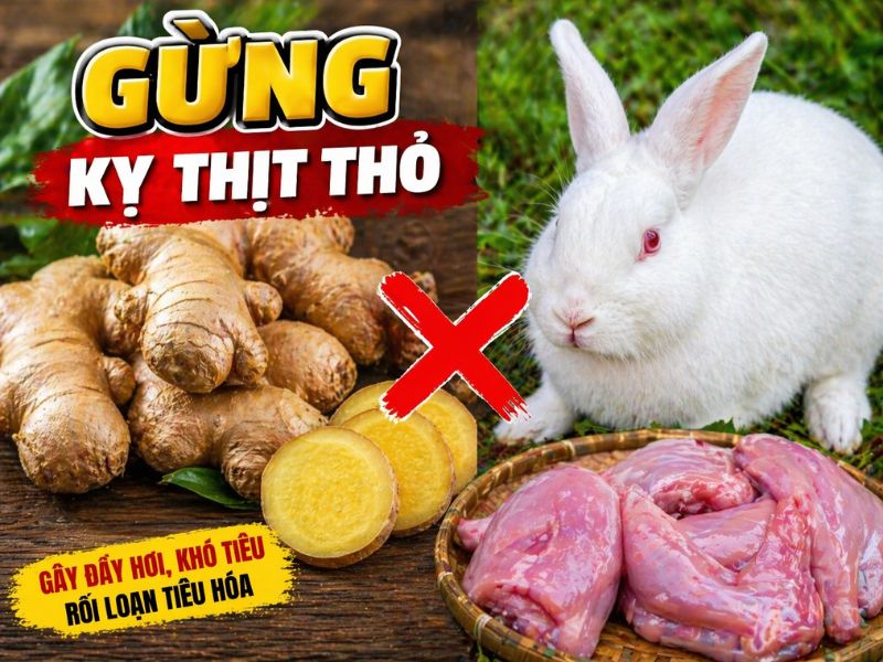 thac-mac-gung-ky-gi