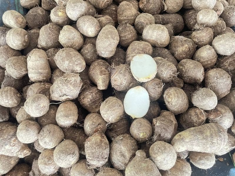 thac-mac-khoai-so-ky-voi-gi