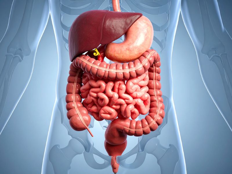 tham-khao-ca-chua-co-tac-dung-gi