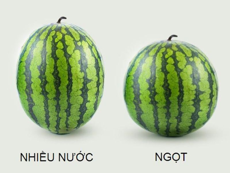 tim-hieu-cach-chon-dua-hau-ngon-ngot.jpg