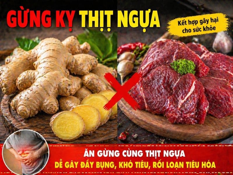 tim-hieu-gung-ky-gi