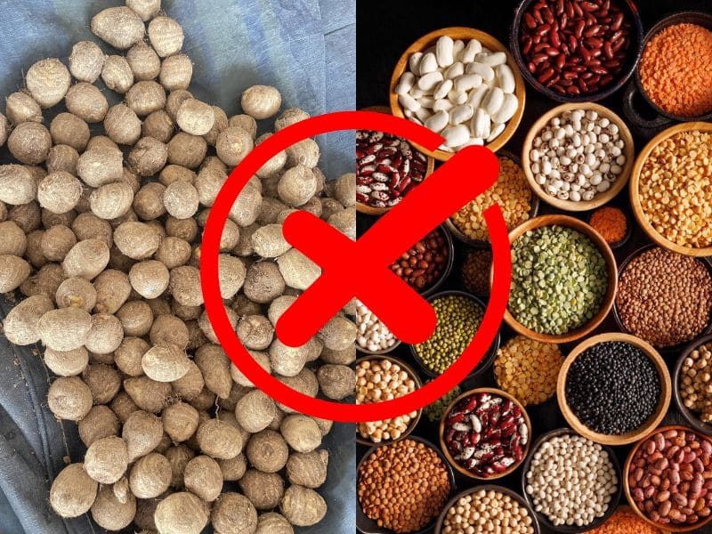 tim-hieu-khoai-so-ky-voi-gi