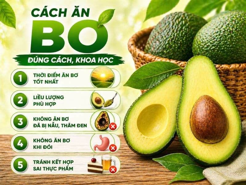 tim-hieu-trai-bo-ky-voi-gi