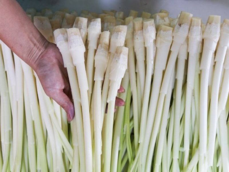 tra-loi-cac-loai-rau-mien-tay-an-lau