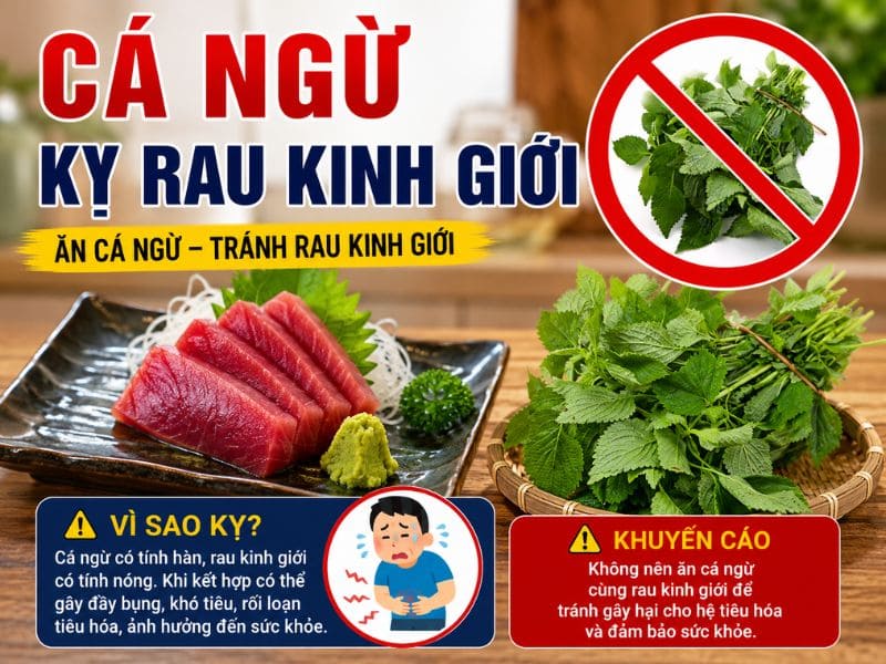 bat-mi-ca-ngu-ky-voi-gi.jpg