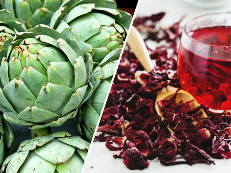 chi-tiet-atiso-do-co-tac-dung-gi