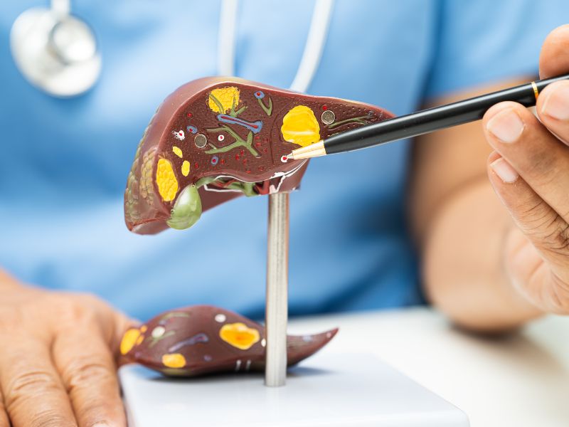 chia-se-atiso-do-co-tac-dung-gi