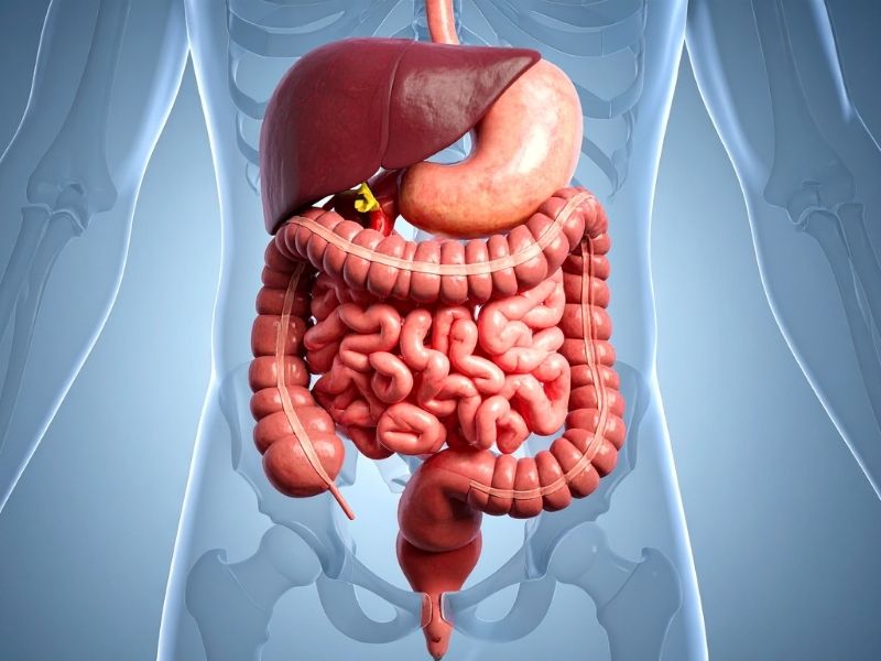 chia-se-bot-can-tay-co-cong-dung-gi