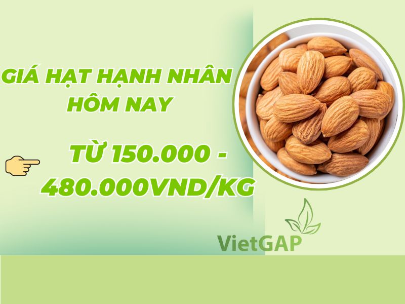 gia-hat-hanh-nhan-hom-nay