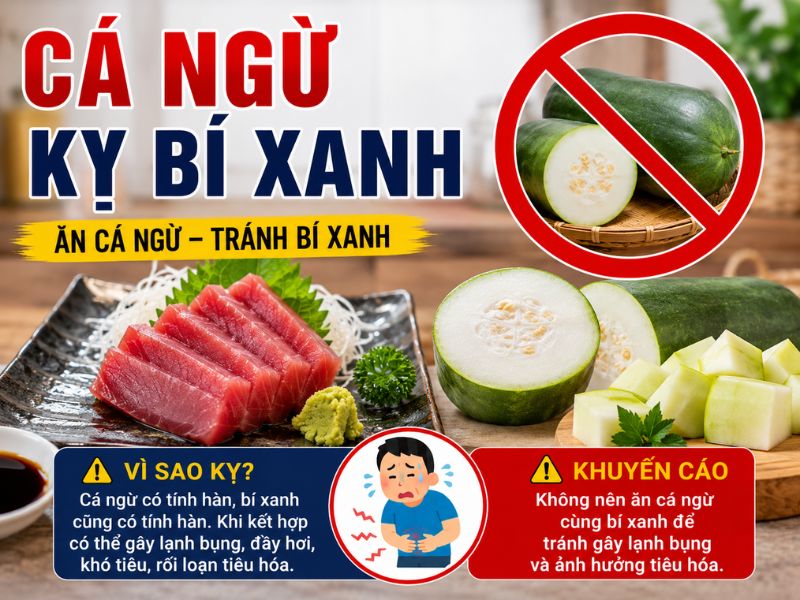goc-bat-mi-ca-ngu-ky-voi-gi.jpg