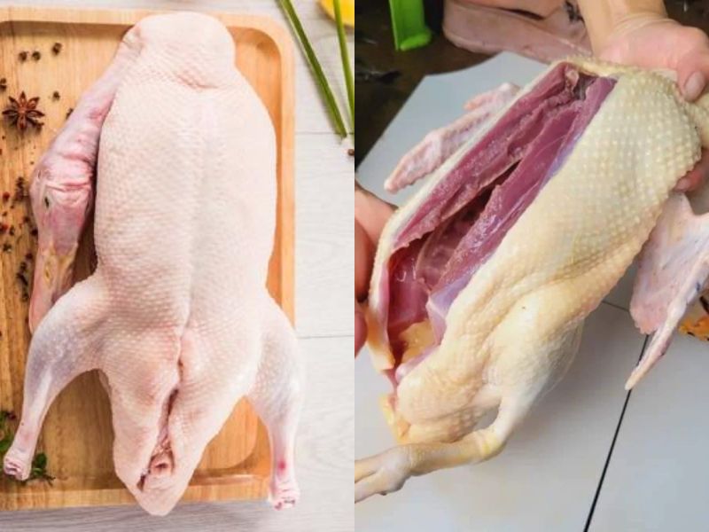 goc-kham-pha-thit-tho-ky-gi