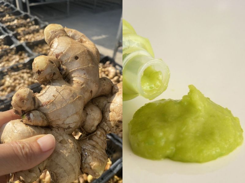 goc-tim-hieu-thit-tho-ky-gi