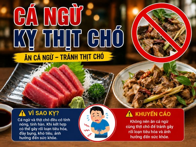 goc-tra-loi-ca-ngu-ky-voi-gi-1.jpg
