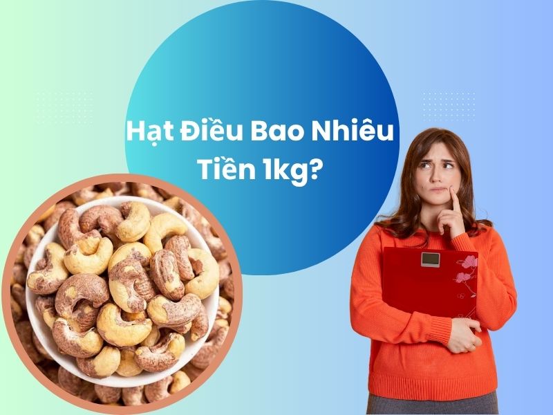 hat-dieu-bao-nhieu-tien-1kg