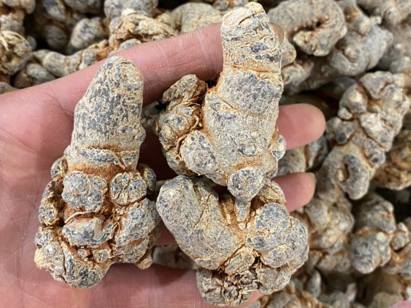 mua-thuoc-nam-o-dau-uy-tin