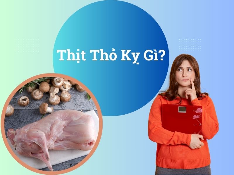 thit-tho-ky-gi