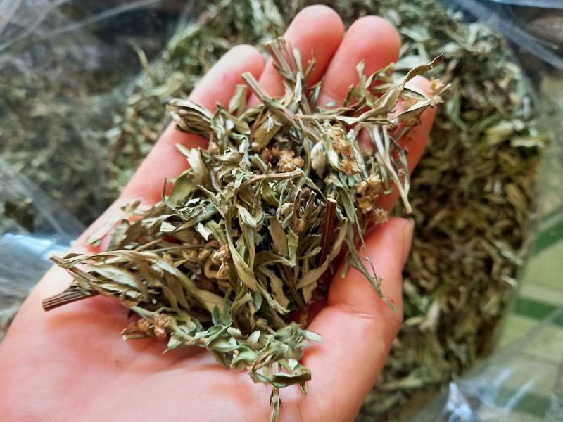 thuoc-nam-chat-luong-cao