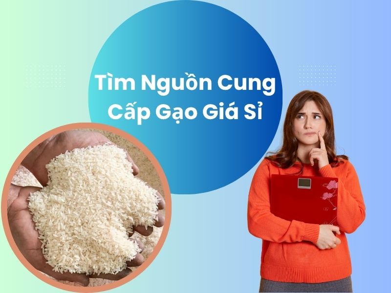 tim-nguon-cung-cap-gao-gia-si
