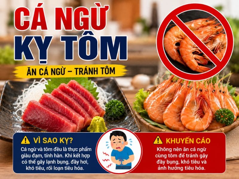 tra-loi-ca-ngu-ky-voi-gi-1.jpg