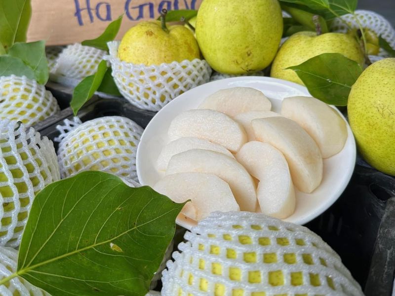 tra-loi-qua-le-khong-duoc-an-chung-voi-gi