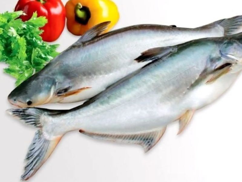 Ca-dua-tuoi-song-dao-dong-tu-150.000-350.000vndkg