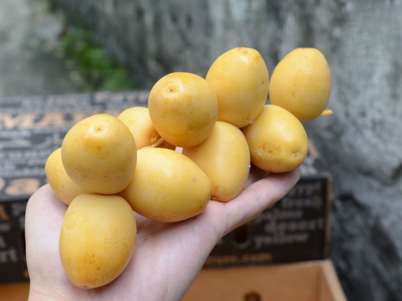 bi-mat-cha-la-bao-nhieu-calo