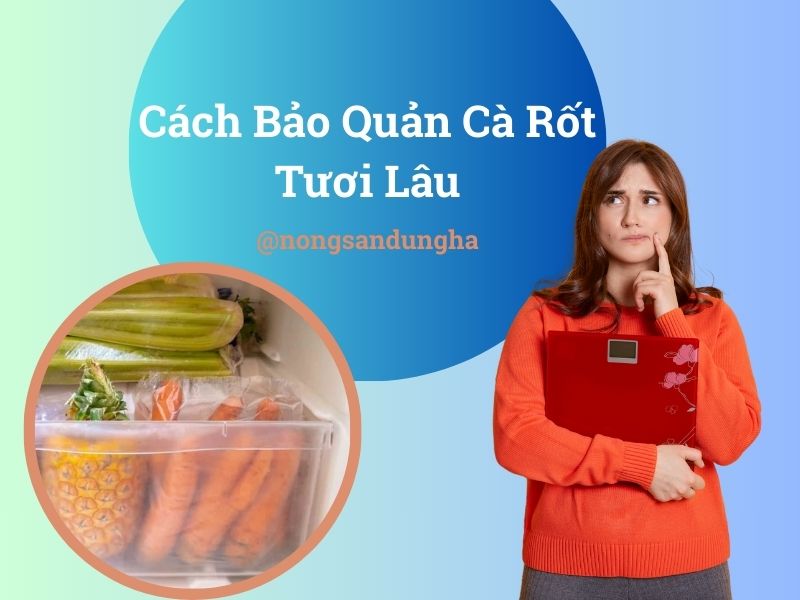 cach-bao-quan-ca-rot