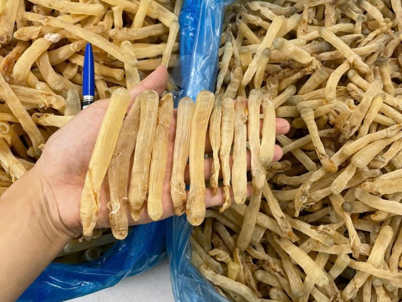 du-doan-gia-sa-sung-trong-tuong-lai