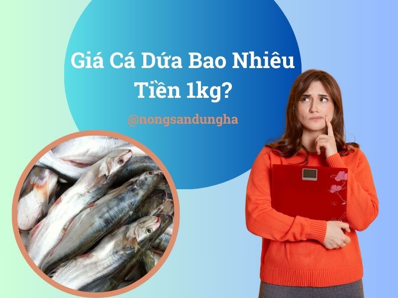 gia-ca-dua-bao-tien