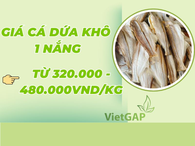 gia-ca-dua-kho-1-nang