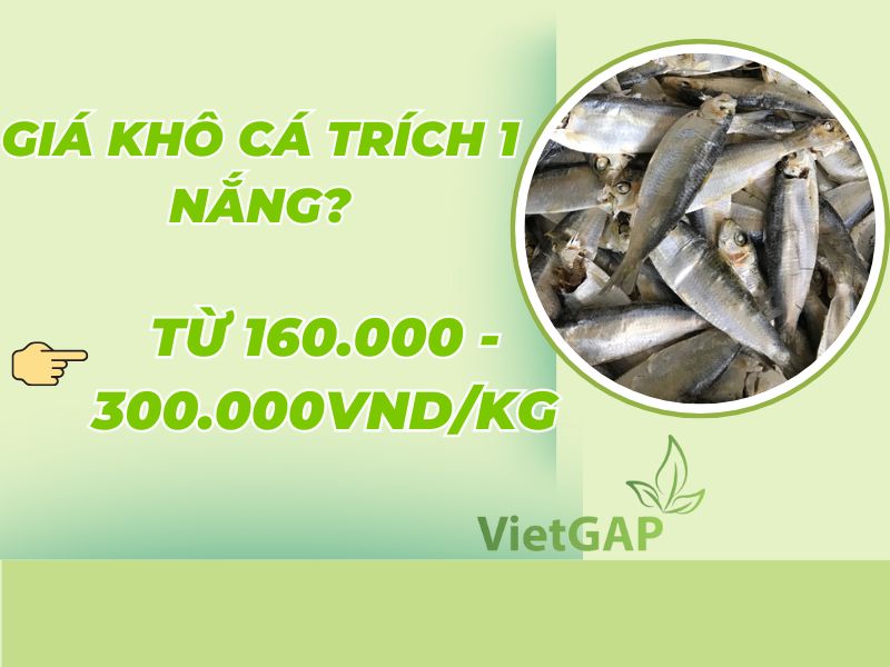 gia-kho-ca-trich-1-nang-hom-nay