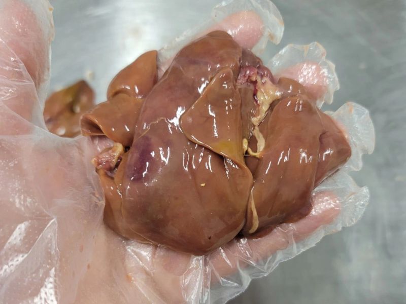 goc-tim-hieu-gan-ga-bao-nhieu-calo