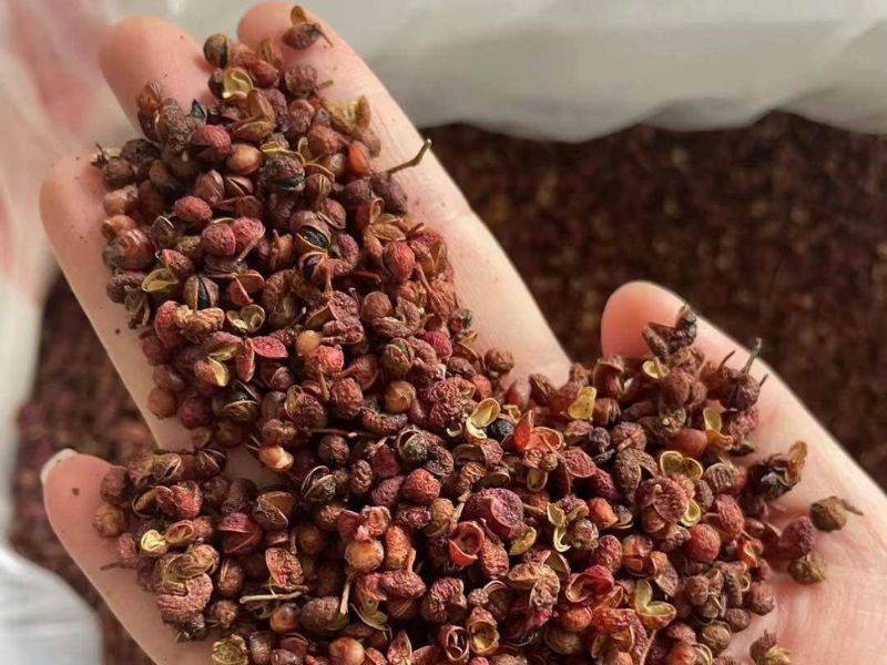 tac-dung-xuyen-tieu-do