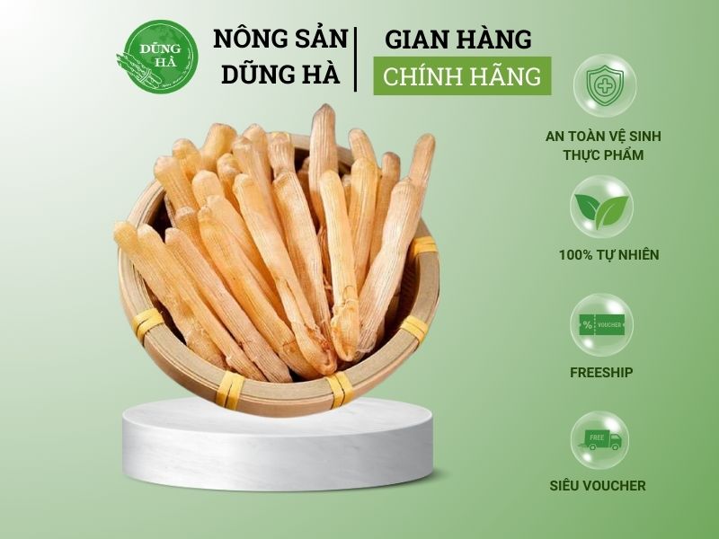 tim-hieu-gia-sa-sung-hom-nay