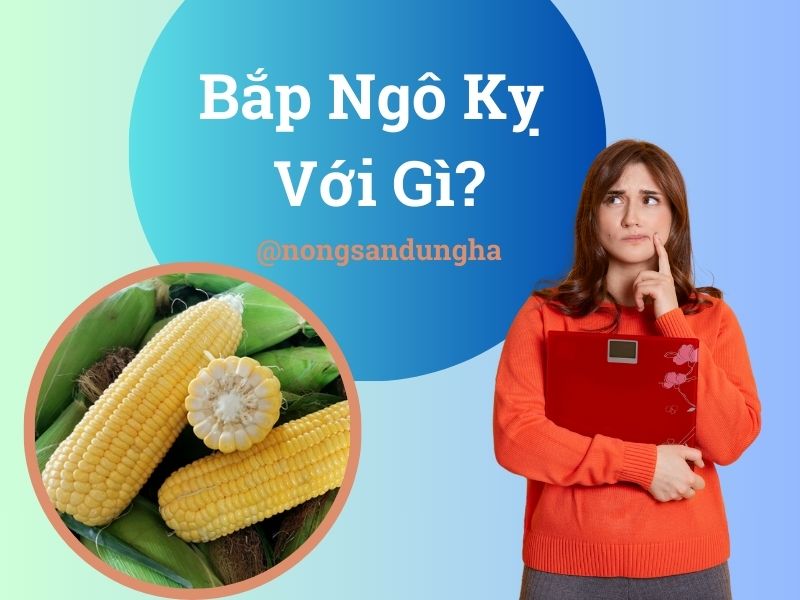 bap-ngo-ky-voi-gi