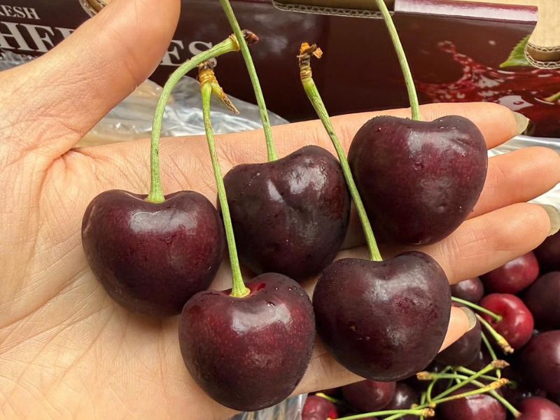 bat-mi-mua-cherry-vao-thang-may