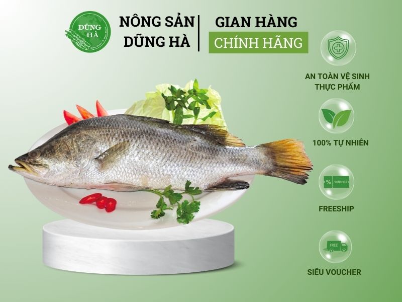 gia-ca-vuoc-hom-nay-bao-tien