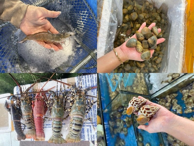 giai-dap-bap-ngo-ky-voi-gi