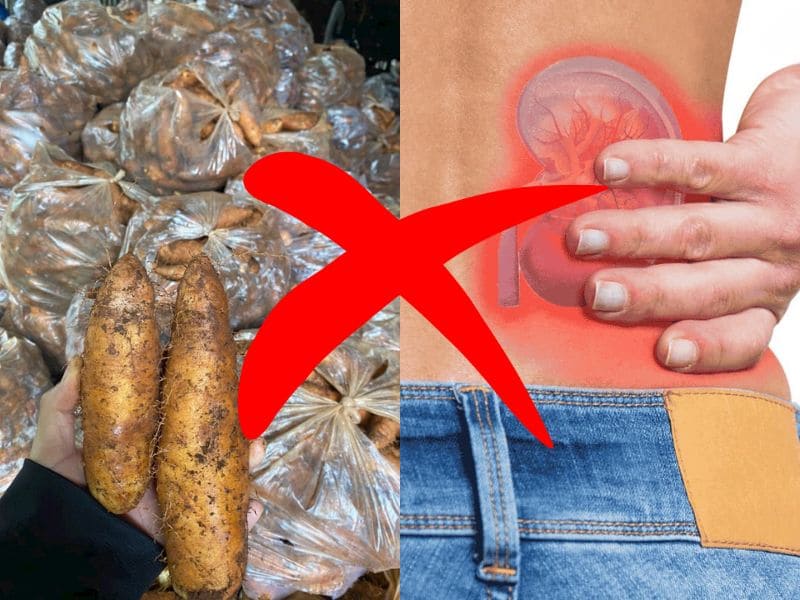 giai-dap-cu-tu-bao-nhieu-calo