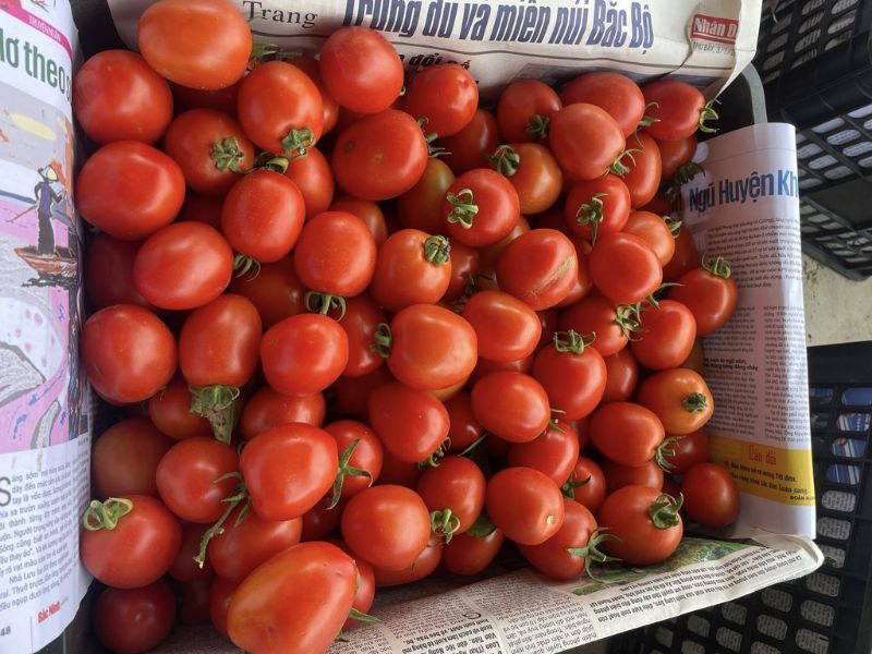 goc-bi-mat-ca-chua-ky-gi